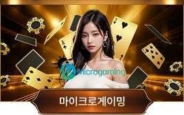 마이크로 카지노