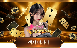 섹시카지노