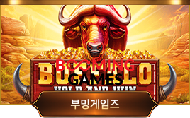 부밍게임즈 슬롯