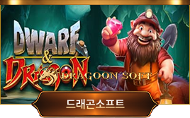 드래곤소프트