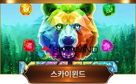 스카이윈드 슬롯